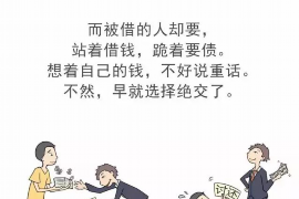 车牌还没制作怎么催收电话：高效沟通指南